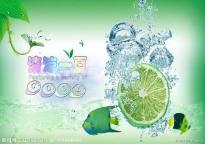 意大利守门员在比利时取得胜利后面对边锋的挑战