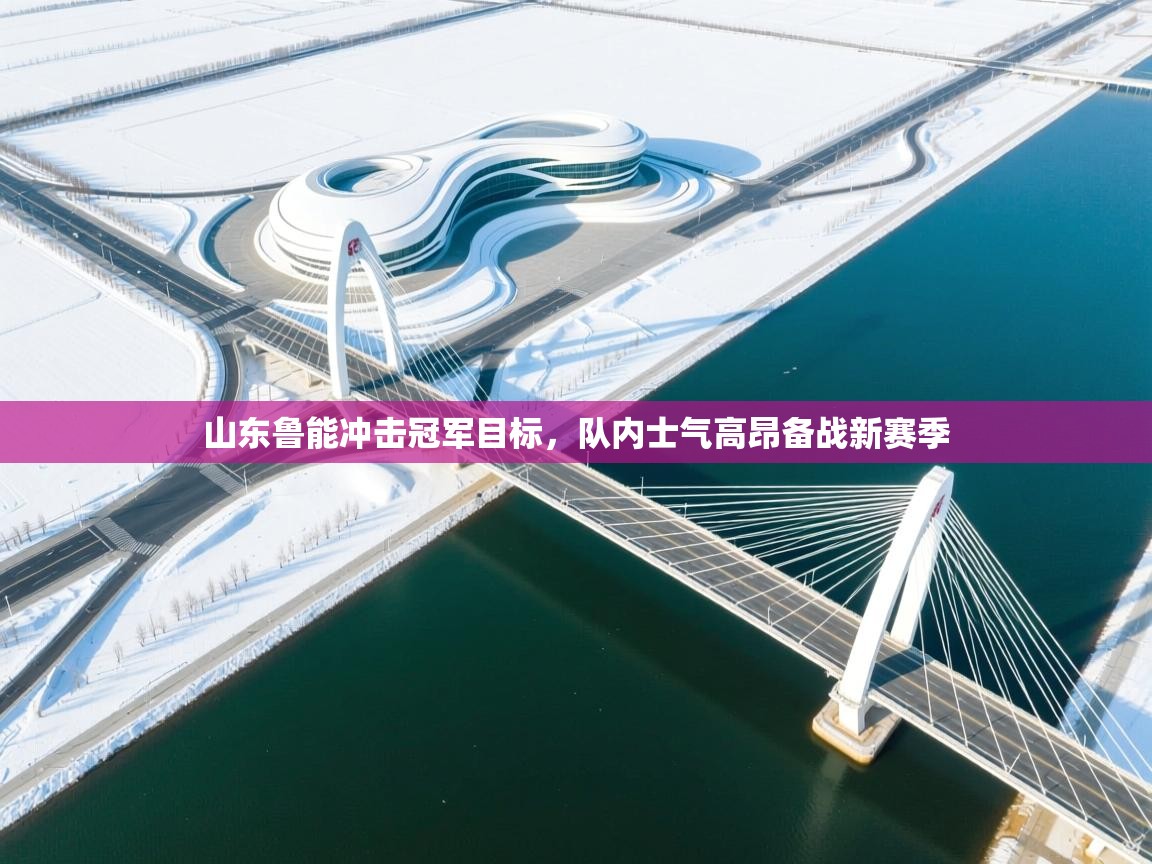 山东鲁能冲击冠军目标，队内士气高昂备战新赛季  第2张