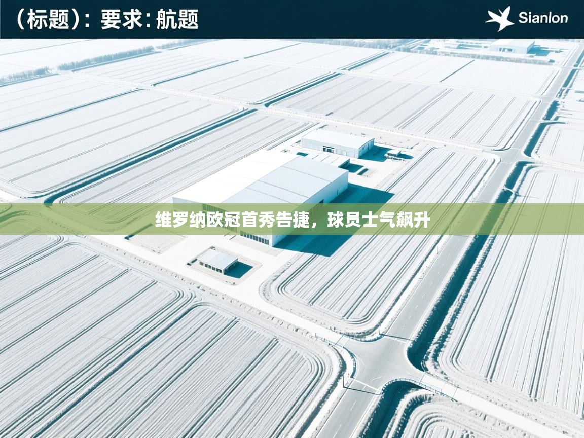 维罗纳欧冠首秀告捷，球员士气飙升