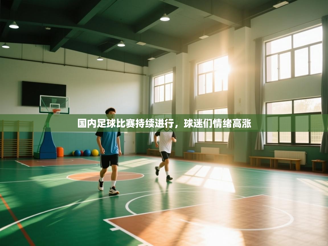 国内足球比赛持续进行，球迷们情绪高涨  第2张