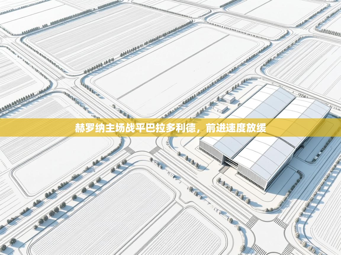 赫罗纳主场战平巴拉多利德，前进速度放缓  第2张