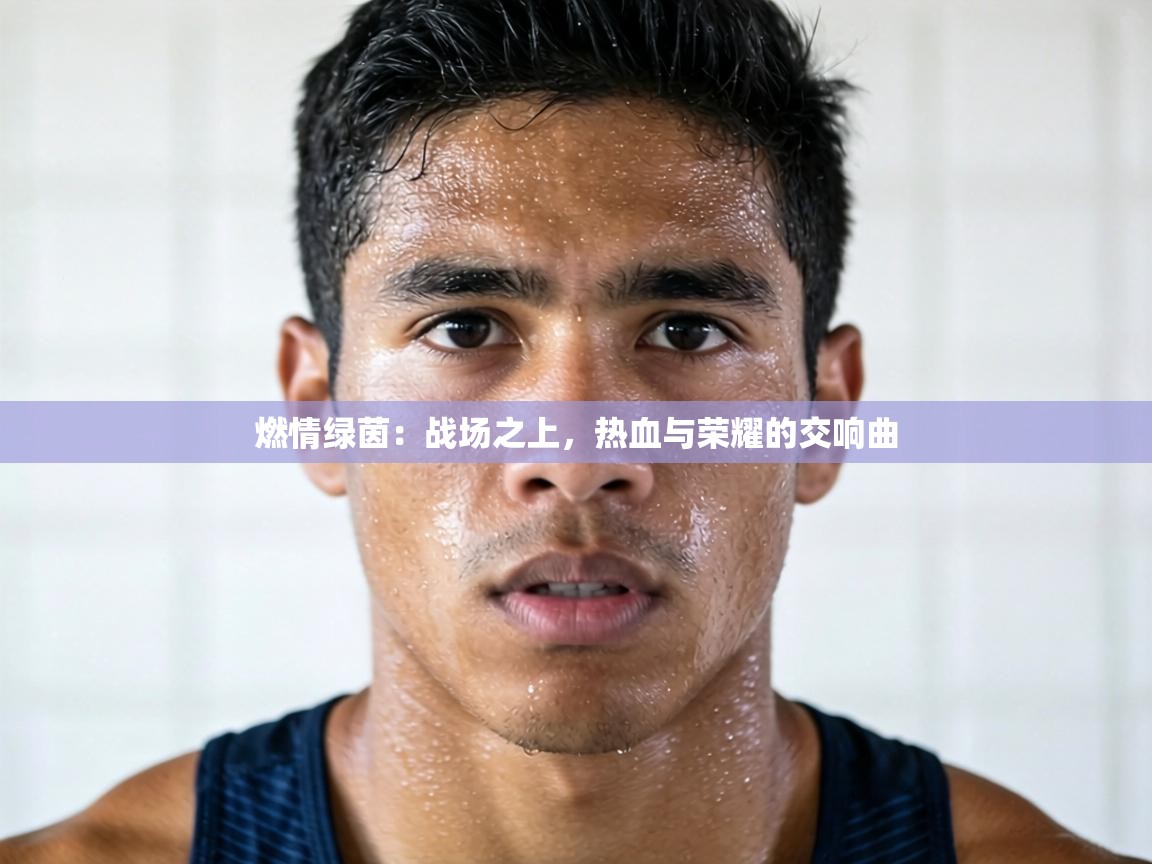 燃情绿茵：战场之上，热血与荣耀的交响曲  第1张