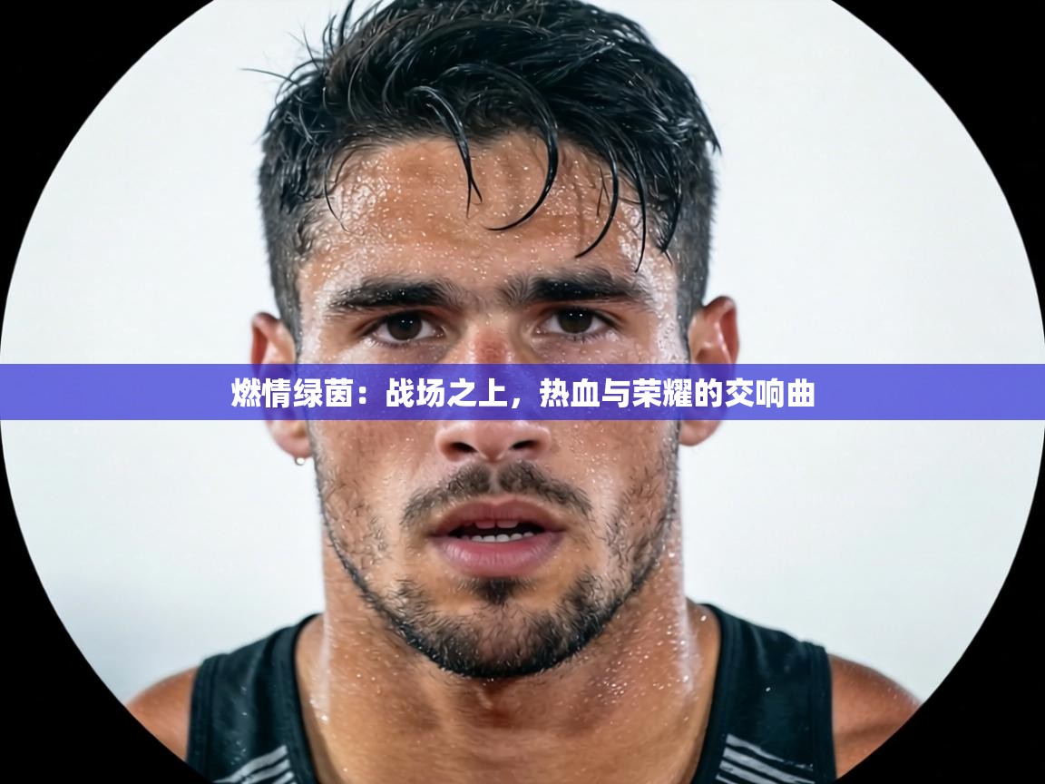 燃情绿茵：战场之上，热血与荣耀的交响曲  第2张